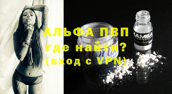 СК Абинск