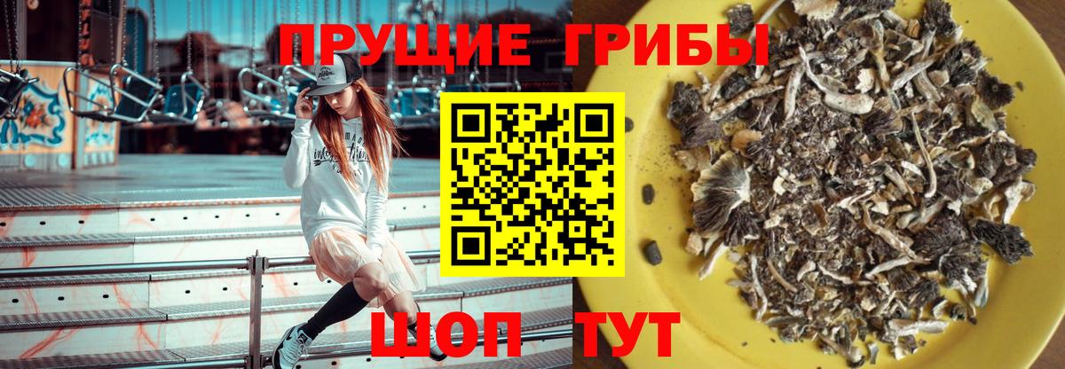 Галлюциногенные грибы Magic Shrooms Заволжье