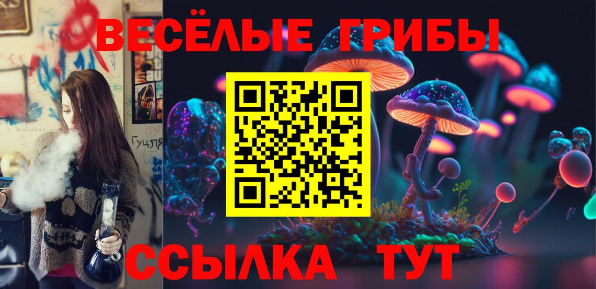 Заволжье  Псилоцибиновые грибы мухоморы  хочу   Псилоцибиновые грибы мицелий  Вход с VPN 